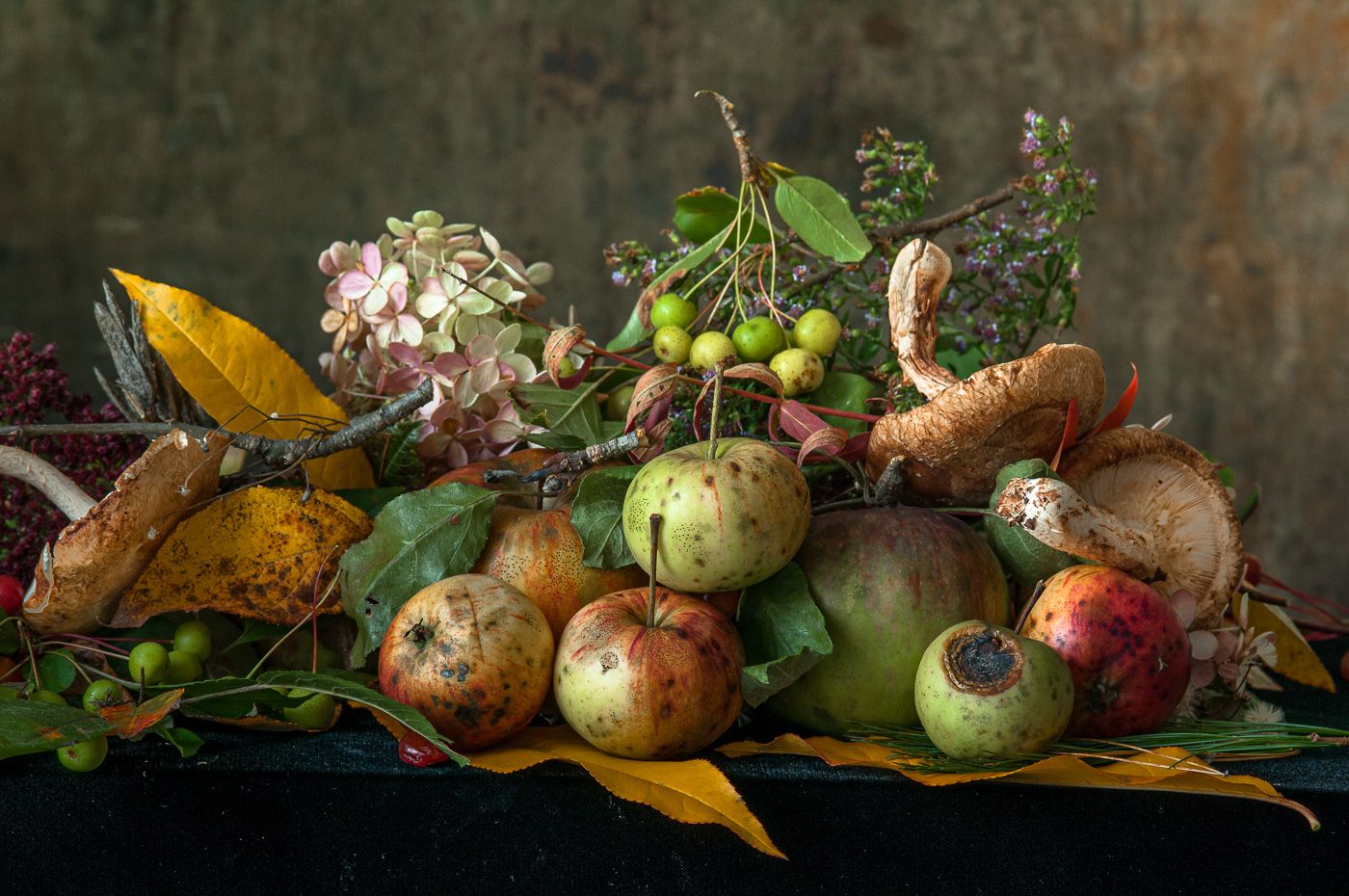 Fine Art/ Still Lifes Lynn Karlin Photography